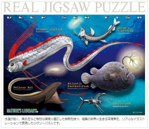 恐ろしくもどこか可愛い 深海生物グッズ